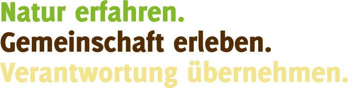 Slogan