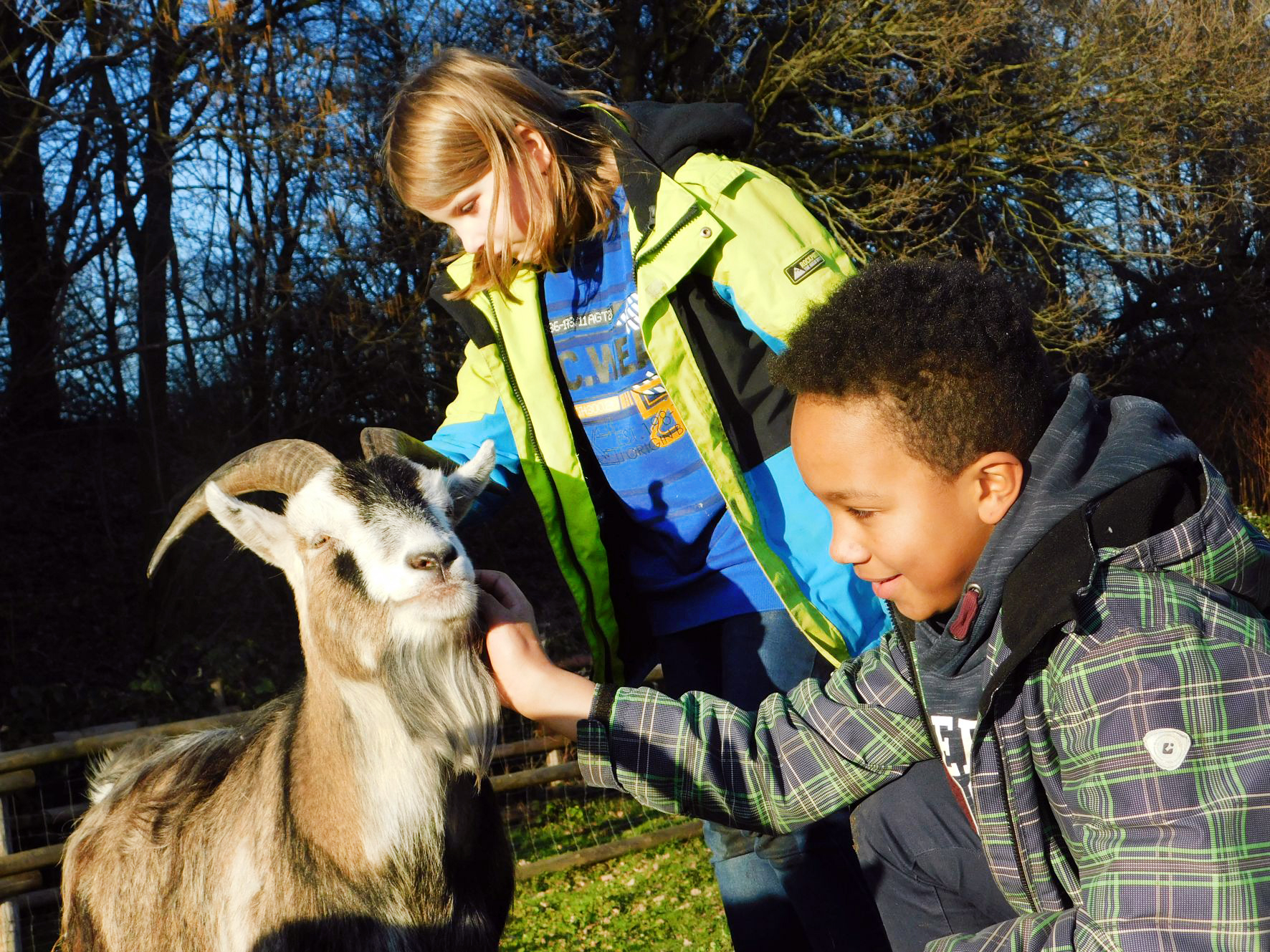 zwei-Kinder-und-Ziege